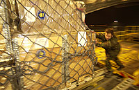 Aid being loaded onto the C-17.